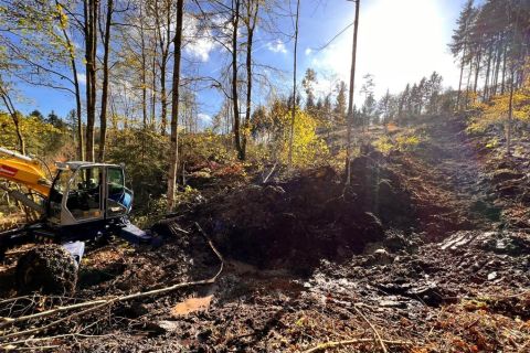 ARBEITEN MIT DEM SCHREITBAGGER AN SCHWER ZUGÄNGLICHER STELLE IM WALD
